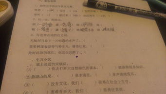 舔的组词怎么写