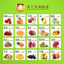 有羊的羊怎么组词