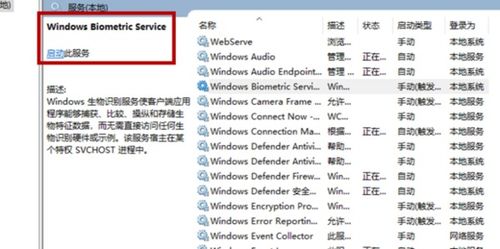 依靠的依怎么组词