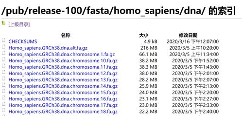 搔痒的搔组词怎么组