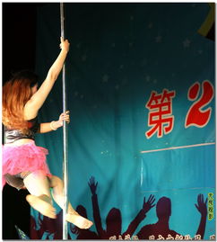 舞蹈的蹈还怎么组词