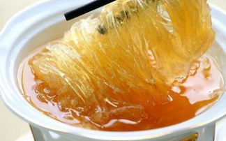 鱼翅怎么组词 鱼翅怎么组词