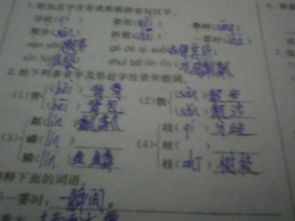 知识的知怎么组词