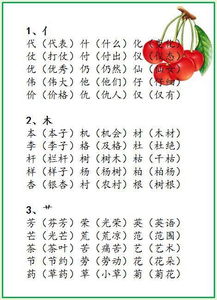 脑的组词怎么组词