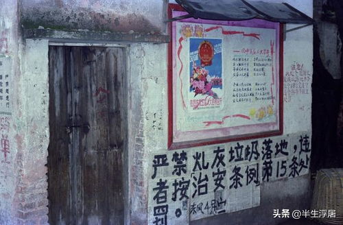 扔垃圾的扔组词怎么写 扔垃圾的扔组词怎么写