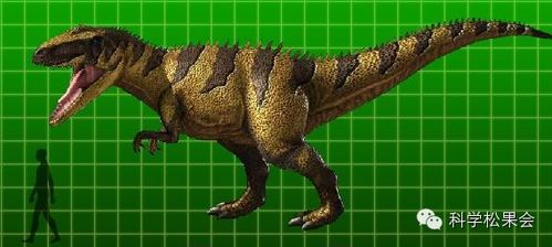 恐龙的肉怎么组词呀 恐龙的肉怎么组词呀