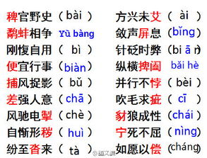 悖怎么读组词成语