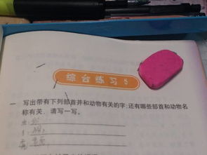 文具盒的怎么组词