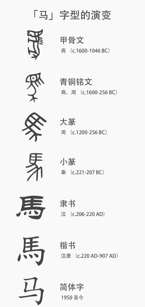 孔雀的孔字怎么组词呀