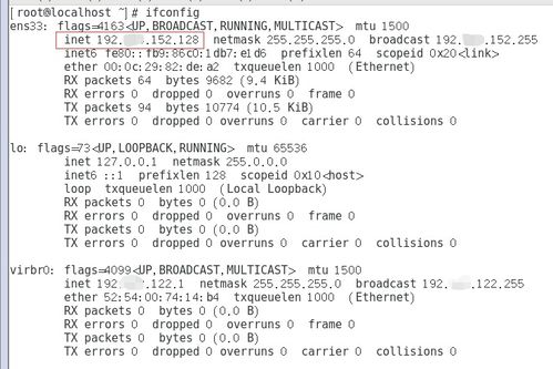 王组词接龙开头怎么接 王组词接龙开头怎么接