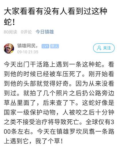 铁蛇怎么组词