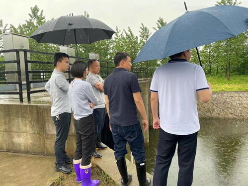 小度他的组词怎么写