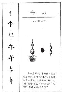我中午的午怎么组词