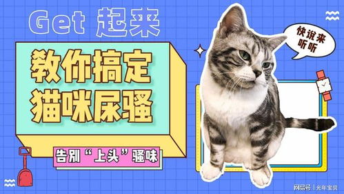 猫尿怎么组词