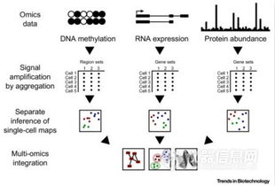研究的组词怎么组 研究的组词怎么组