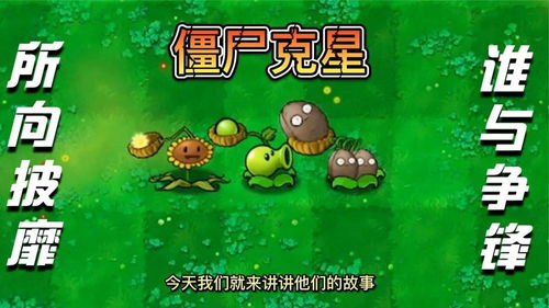 僵尸的尸怎么组组词