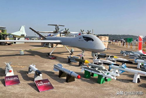 翼龙的农怎么组词 翼龙的农怎么组词