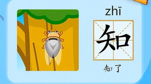 犊的组词和笔画怎么写