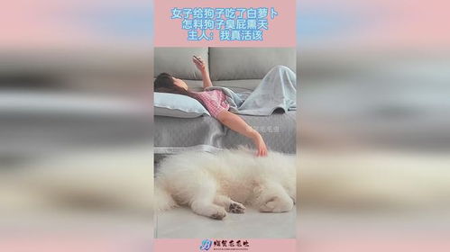 狗的屁怎么组词 狗的屁怎么组词