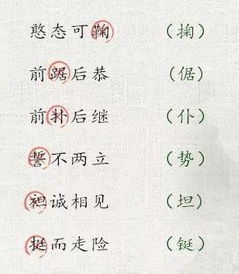 报的所有组词怎么写