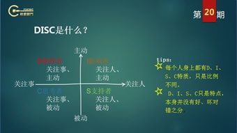 挑战的巧可以怎么组词