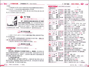 挑战的巧可以怎么组词