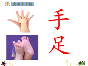 耳目木怎么组词