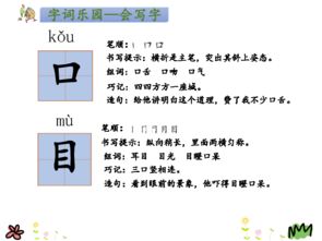 耳目木怎么组词