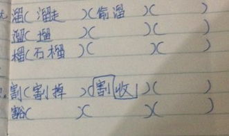 无无有的无怎么组词