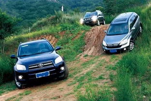 越野车的野怎么组词