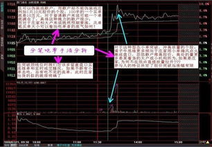 资金怎么组词