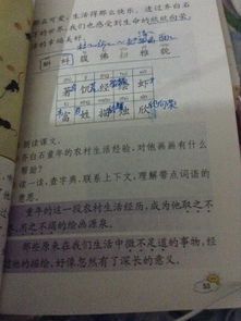 这里的字可以怎么组词 这里的字可以怎么组词