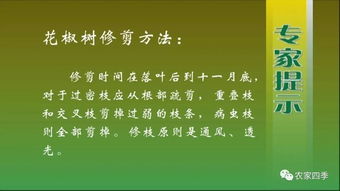 壮志壮壮怎么组词 壮志壮壮怎么组词