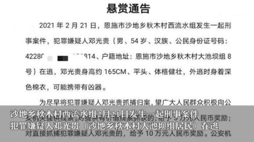 吵架的草可以怎么组词