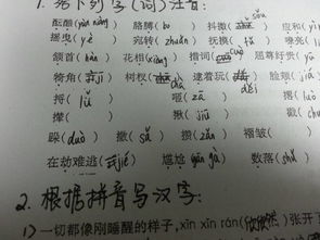 这两个字怎么读组词