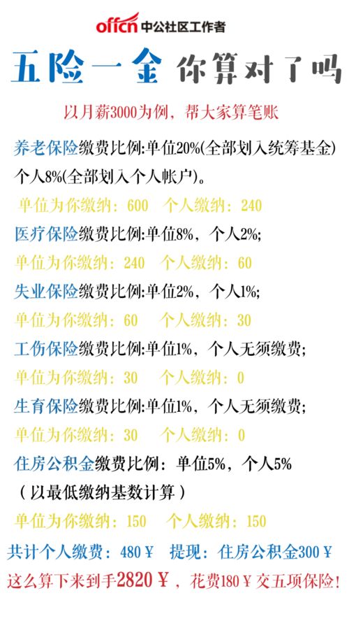 鞋跟的跟怎么组词