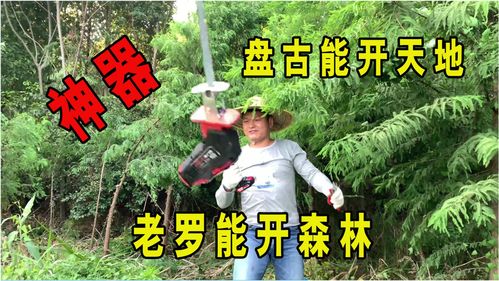 森林的森山怎么组词