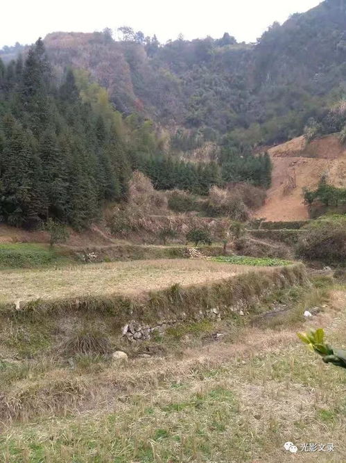 水湾的弯怎么怎么组词