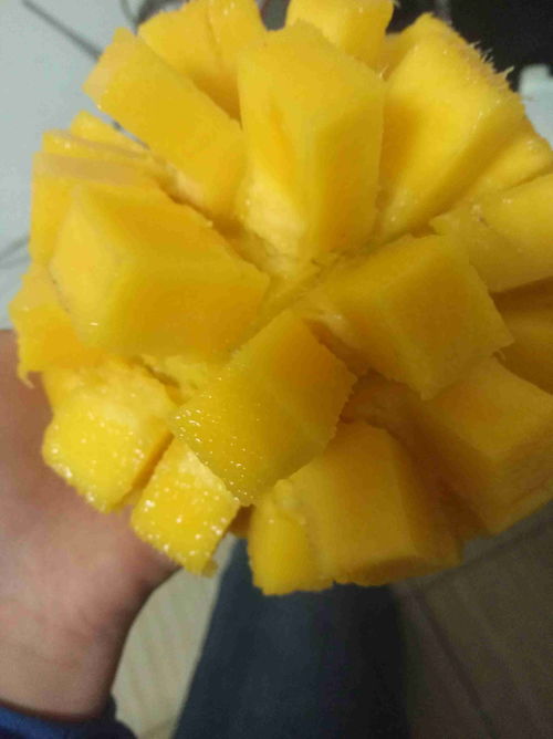 沸腾的拼音怎么组词