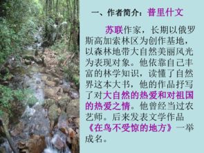 希怎么组词小溪的溪 希怎么组词小溪的溪