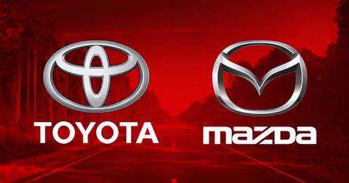 无忧无虑路怎么组词 无忧无虑路怎么组词