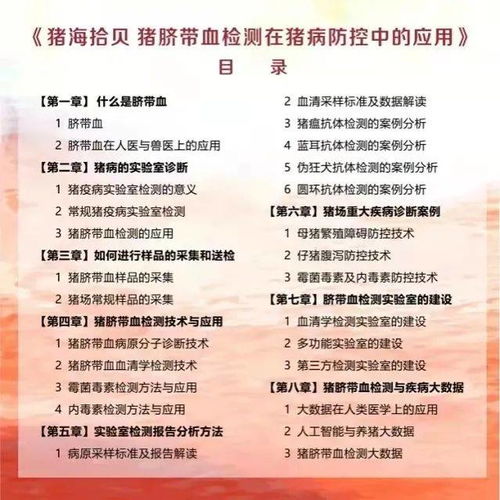 你的猪怎么组词