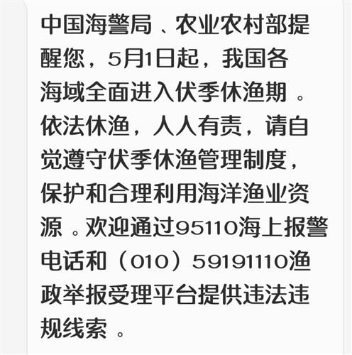 你的猪怎么组词