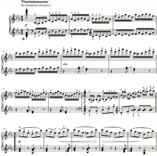 弹琴的琴怎么组词 弹琴的琴怎么组词