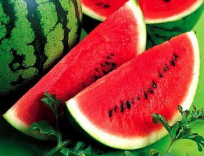 括怎么组词西瓜的瓜 括怎么组词西瓜的瓜