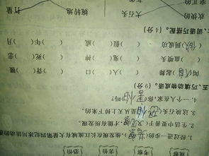 表的组词和成语怎么写