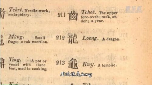 龙他的龙怎么组词