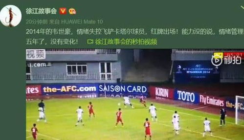 足球的主人怎么组词