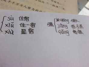 尽多音字注音并组词