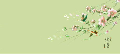 秀东西怎么组词